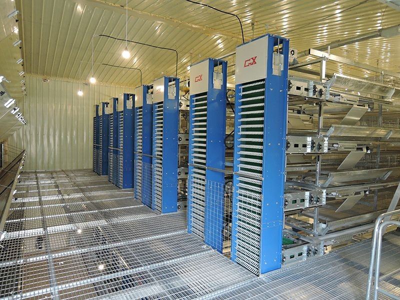 Breeder Cage Feeding System high quality